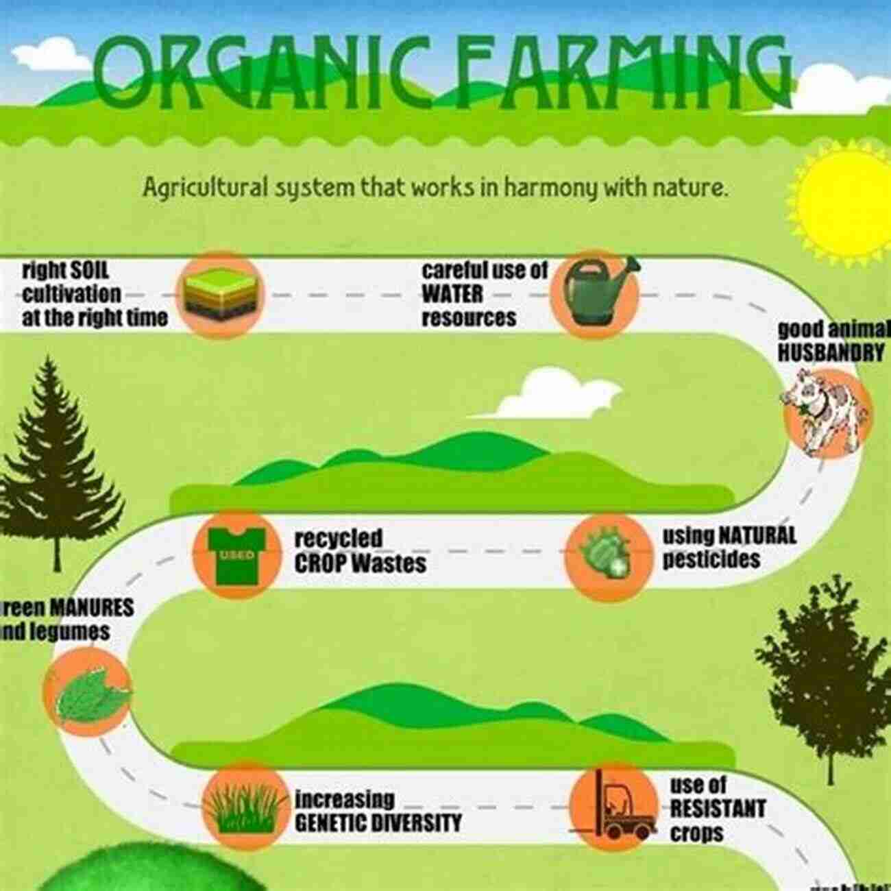 A Glimpse Into The Future Of Organic Nature: How Our Actions Today Shape Tomorrow's Ecosystems The Past Condition Of Organic Nature