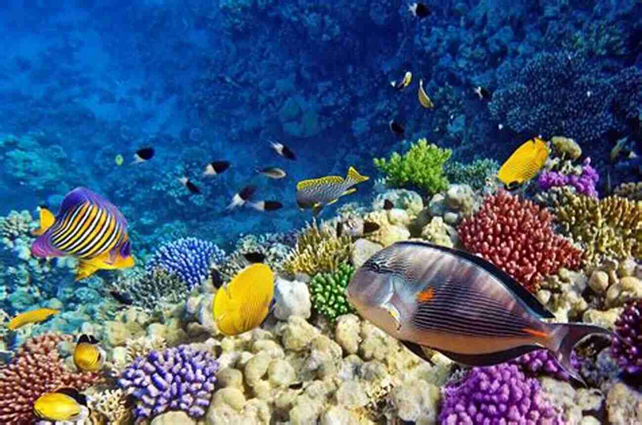 A Breathtaking View Of A Vibrant Coral Reef Filled With An Abundance Of Colorful Marine Life. Under The Sea: A Junior Scientist S Story Guide To Sharks And Other Marine Life