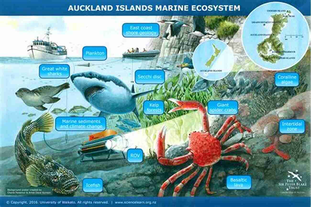 A Diverse Underwater Ecosystem In A Marine Protected Area Marine Ecosystem Based Management In Practice: Different Pathways Common Lessons