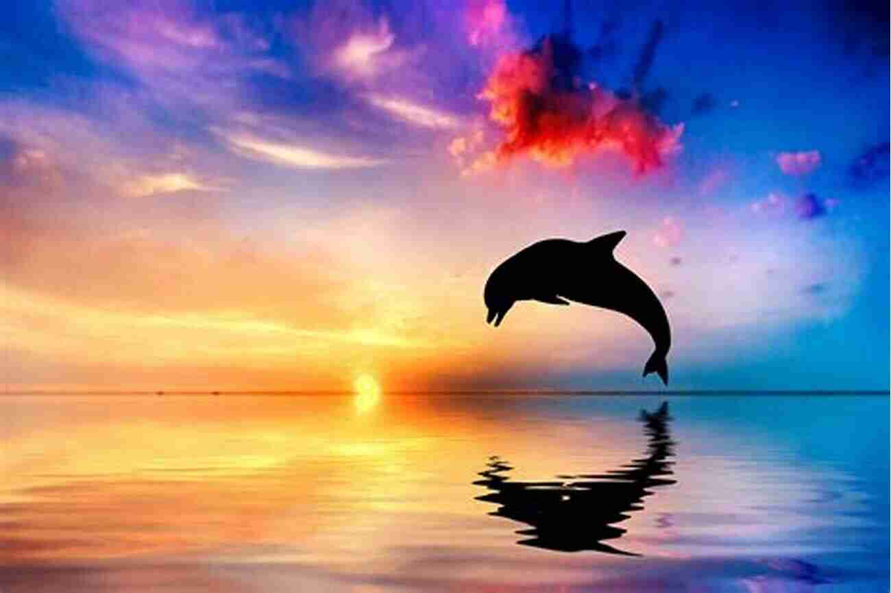 A Dolphin Gracefully Jumping Out Of The Water During A Beautiful Sunset The Lab Rat Chronicles: A Neuroscientist Reveals Life Lessons From The Planet S Most Successful Mammals