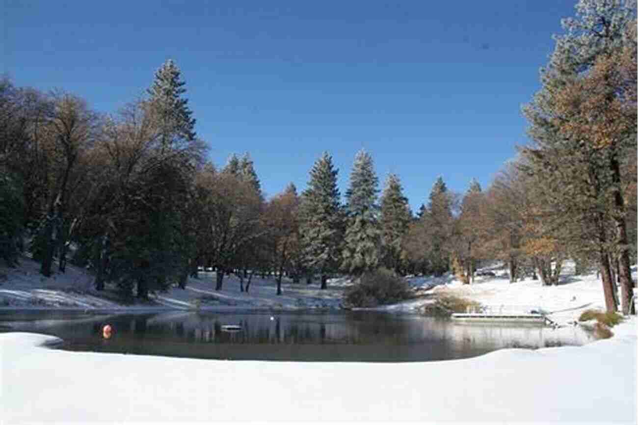 A Frozen Milcreek Pond During Winter Indigo Sky: From The Milcreek Pond Collection (Milcreek Pond 2)