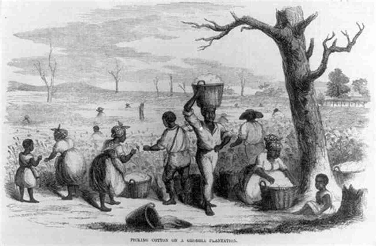 A Line Of Enslaved African Americans Working In A Cotton Field, Illustrating The Harsh Realities Of Slavery Slavery And Freedom: An Interpretation Of The Old South