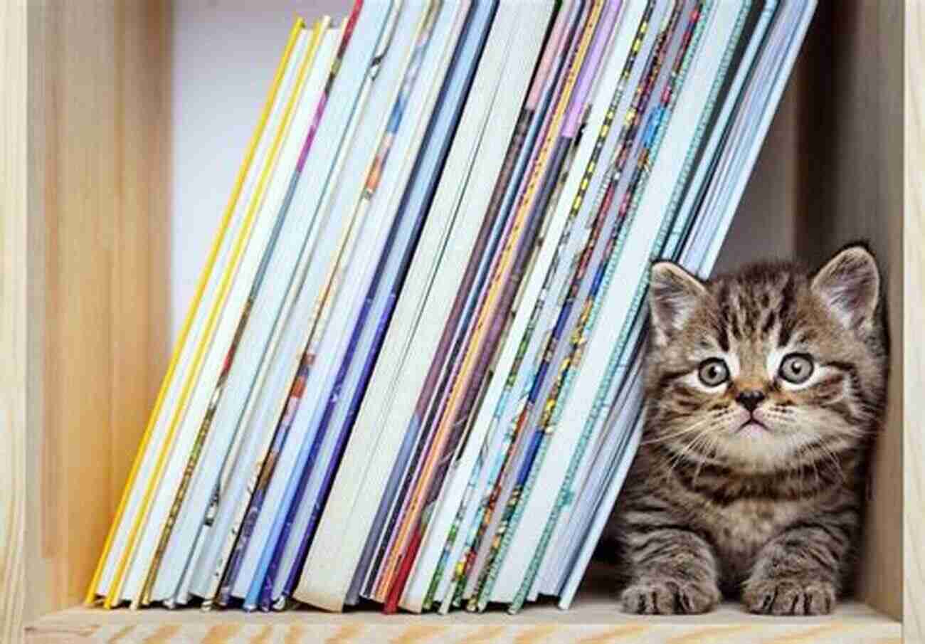 A Majestic Black And White Cat Named Elvis Sitting On A Bookshelf Filled With Poetry Books A Cat Called Elvis (MacMillan Poetry)