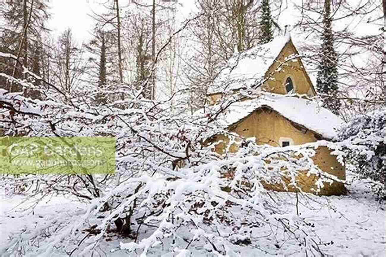 A Mesmerizing View Of The Sanctuary Covered In Lush Greenery A Sanctuary Of Trees: Beechnuts Birdsongs Baseball Bats And Benedictions