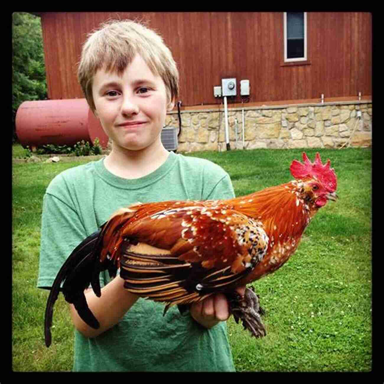 A Picture Of Me Smiling While Holding The Friendly Rooster Buddy: How A Rooster Made Me A Family Man