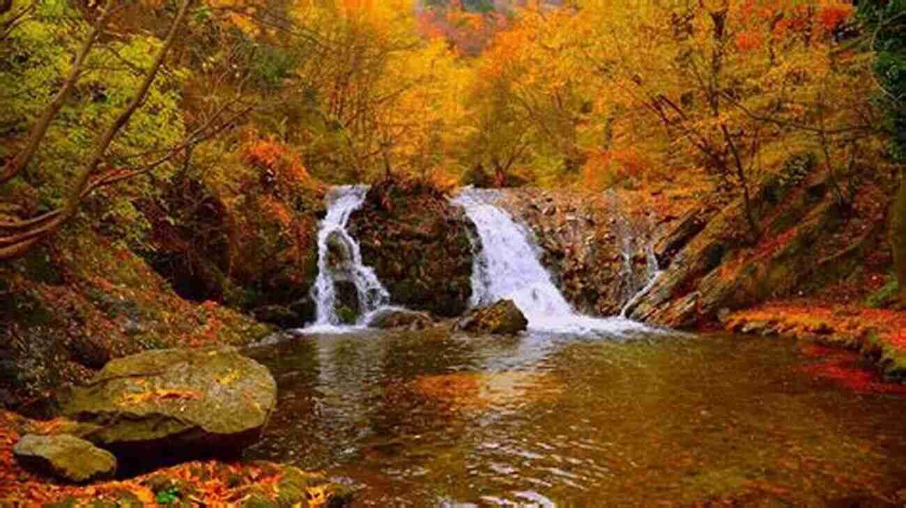 A Picturesque Waterfall Amidst The Vibrant Autumn Foliage In Doon Shades Of Doon Carey Corp