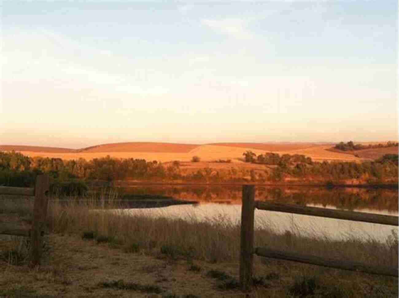 A Serene View Of Milcreek Pond Surrounded By Lush Greenery Indigo Sky: From The Milcreek Pond Collection (Milcreek Pond 2)