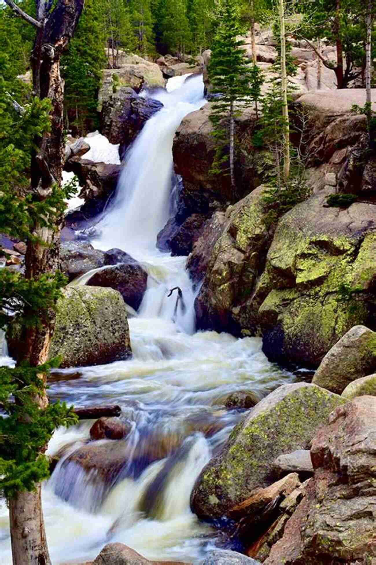 Admire The Picturesque Alberta Falls During Your Hike Best Easy Day Hikes Rocky Mountain National Park (Best Easy Day Hikes Series)