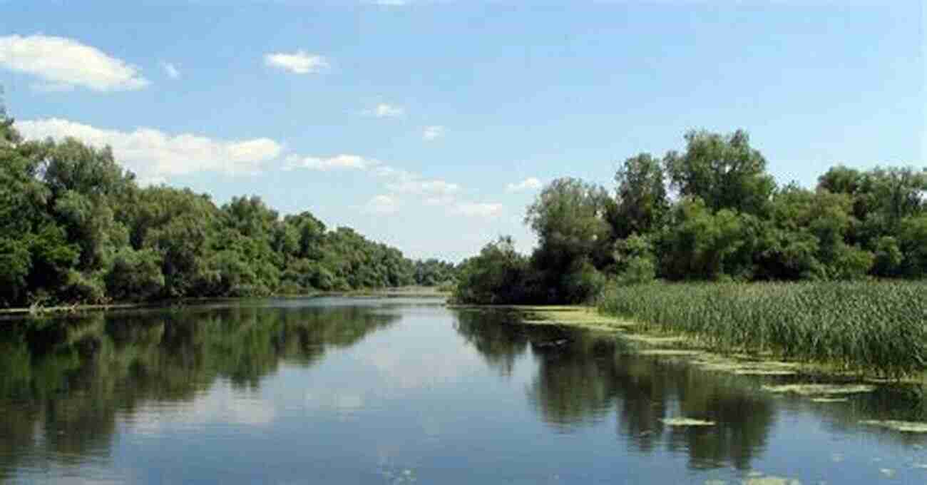 Aerial View Of The Danube Delta's Lush Wetlands And Waterways The Bio Politics Of The Danube Delta: Nature History Policies