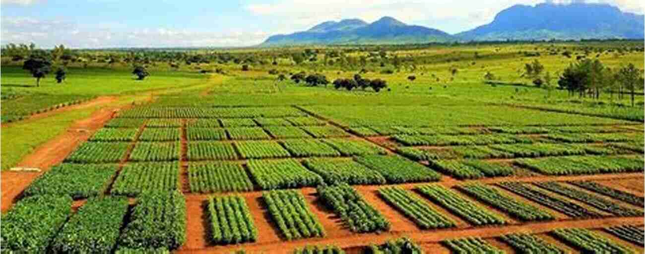 Agriculture In Tropical Africa The Trans Oceanic Marketing Channel: A New Tool For Understanding Tropical Africa S Export Agriculture