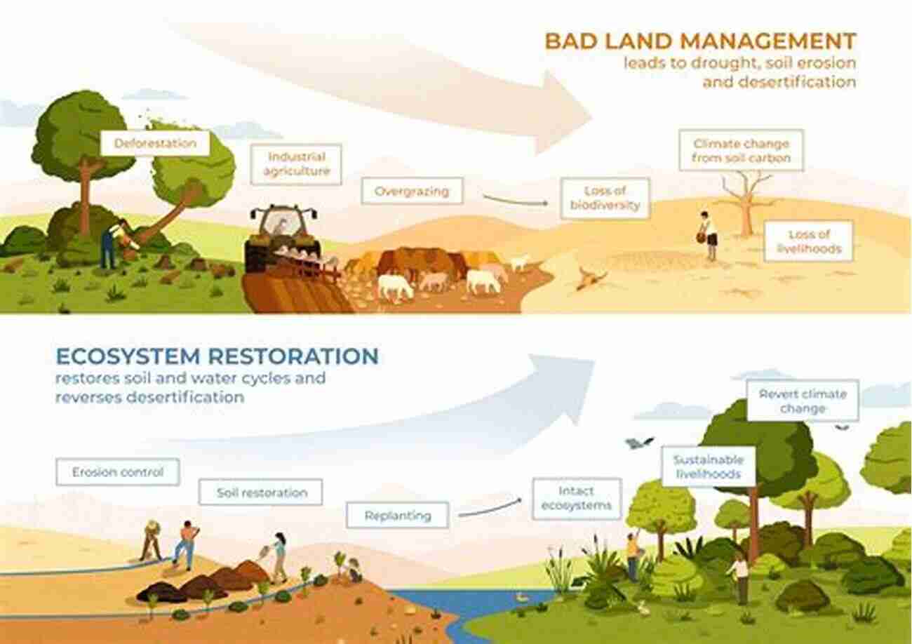 Agroforestry Enhances Biodiversity, By Providing Habitat For Various Species Agroforestry In Sustainable Agricultural Systems (Advances In Agroecology)