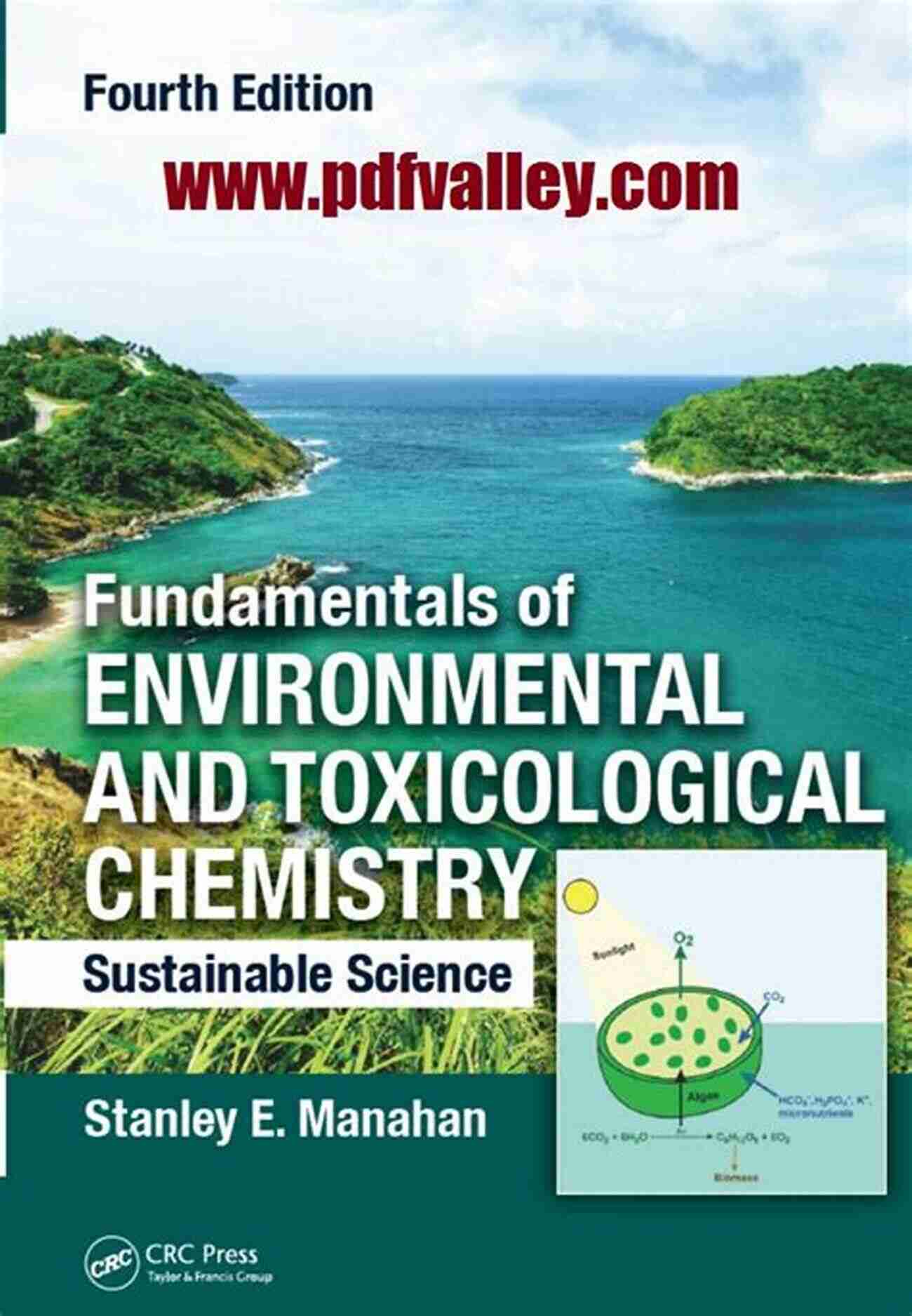 Air Pollution E Waste Recycling And Management: Present Scenarios And Environmental Issues (Environmental Chemistry For A Sustainable World 33)