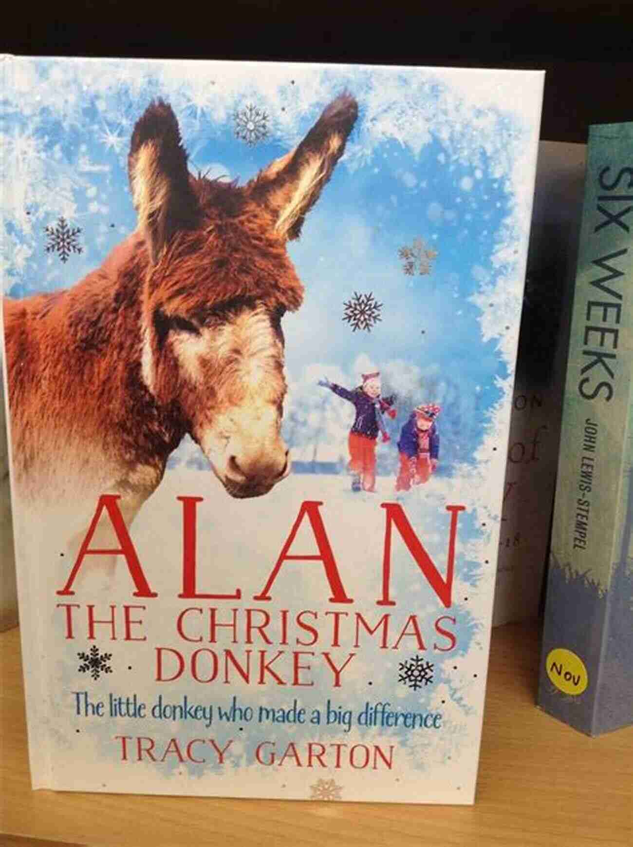 Alan The Christmas Donkey Enthralling Visitors Alan The Christmas Donkey: The Little Donkey Who Made A Big Difference