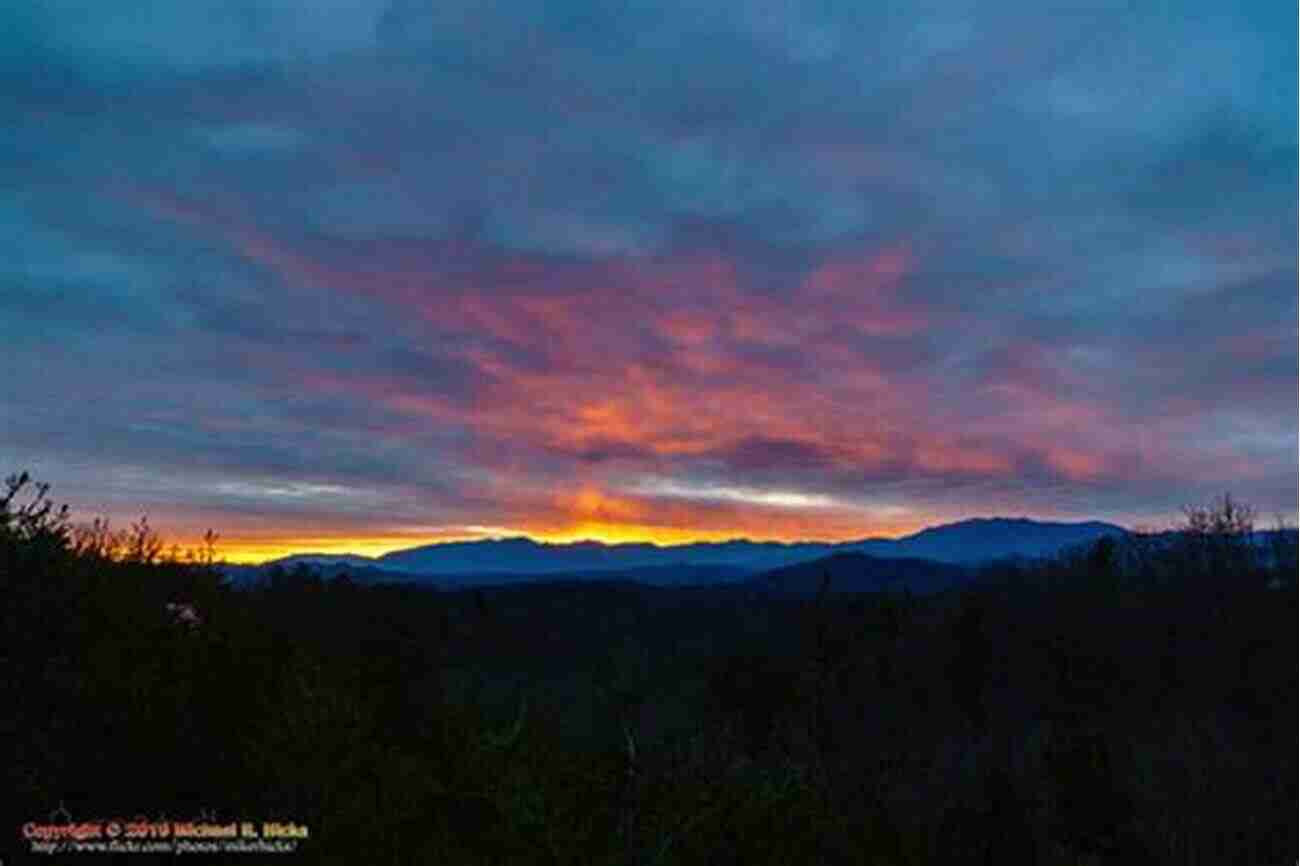 An Image Showcasing The Beauty Of A Sunrise, Symbolizing The Simple Pleasures In Life Buddy: How A Rooster Made Me A Family Man