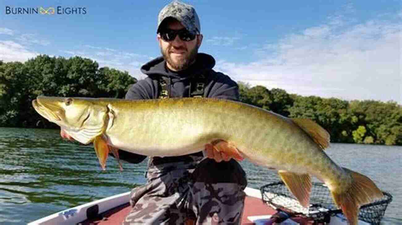 Anglers Engaged In A Fierce Battle With A Muscular Muskie Muskie Attack (An Up North Adventure 1)