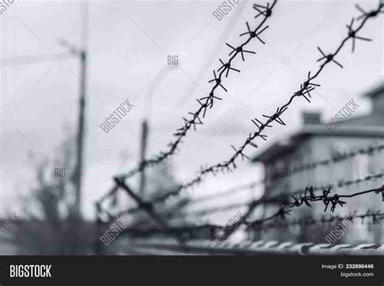 Barbed Wire Fence Enclosing A Prisoner Of War Camp Tales Of War: Related Stories