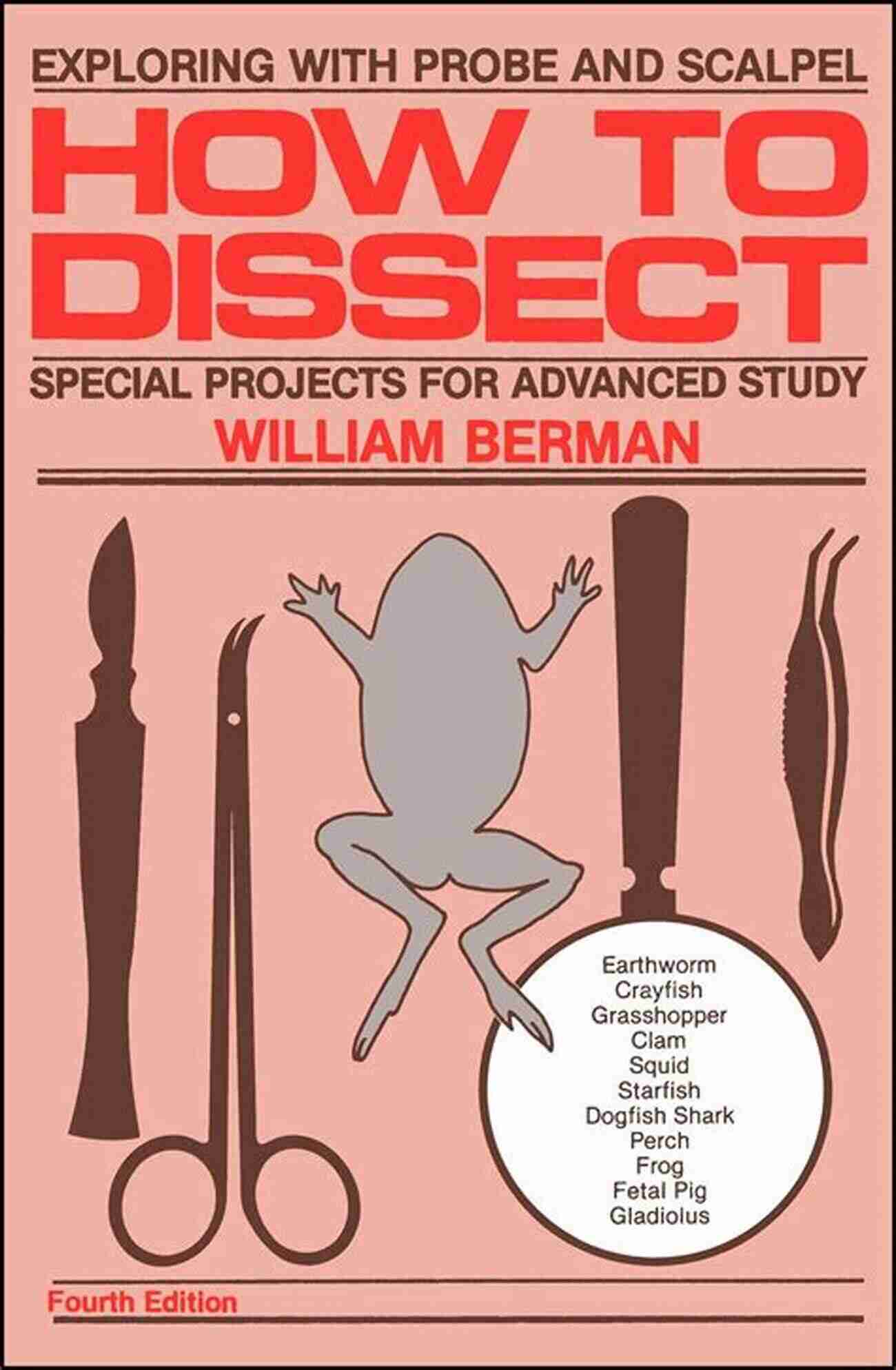 Berman's Artistic Creations How To Dissect William Berman