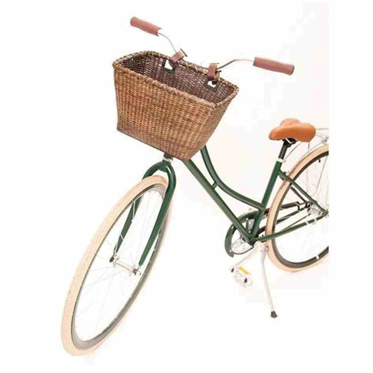 Bicycle Basket The Basket Book: Over 30 Magnificent Baskets To Make And Enjoy