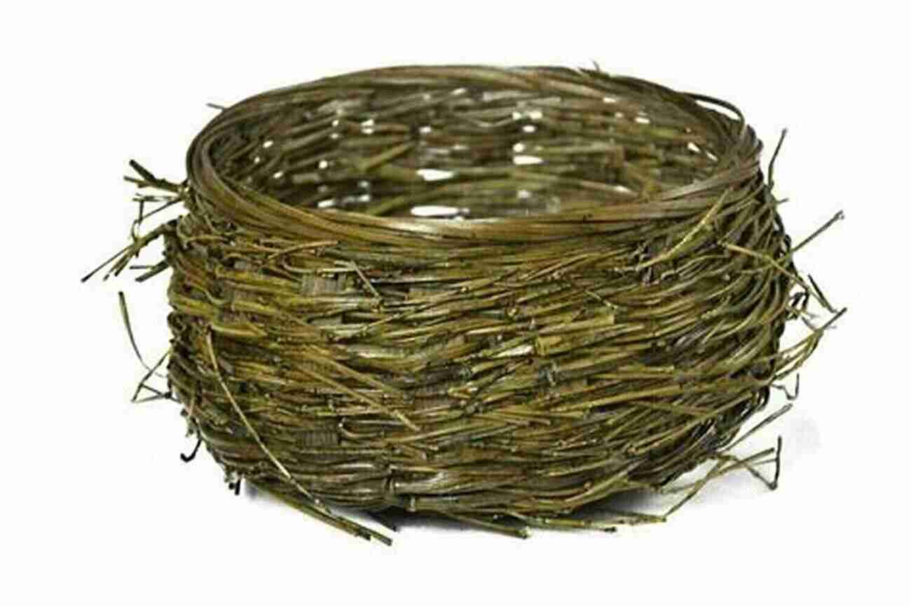 Bird Nest Basket The Basket Book: Over 30 Magnificent Baskets To Make And Enjoy