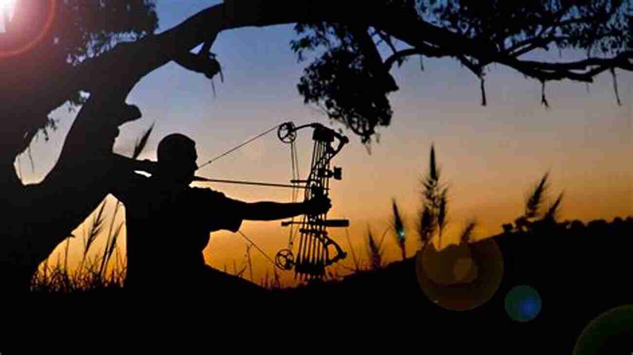 Bow Hunting In Nature A Beginner S Guide To Bow Hunting