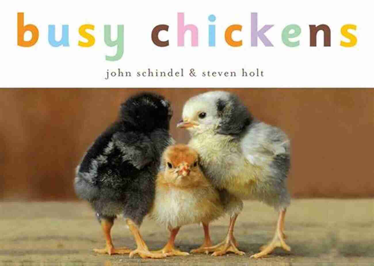 Busy Chickens Busy Book Cover Image Busy Chickens (A Busy Book)