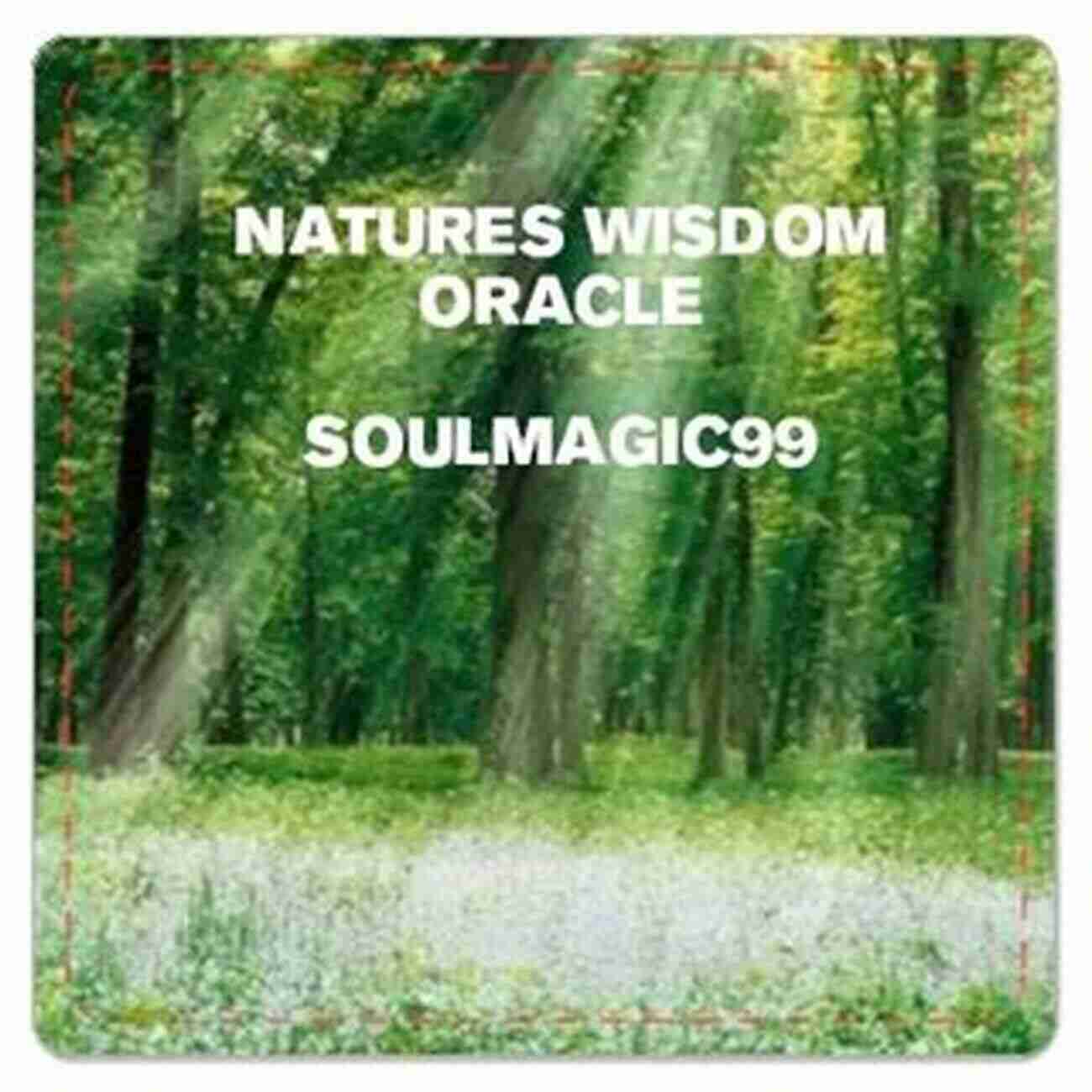 Camino Nature Connect With Nature's Wisdom Wisdom On The Camino: A Spiritual Journey Sharing Forgiveness And Possibilities To Inspire The Rest Of Your Life