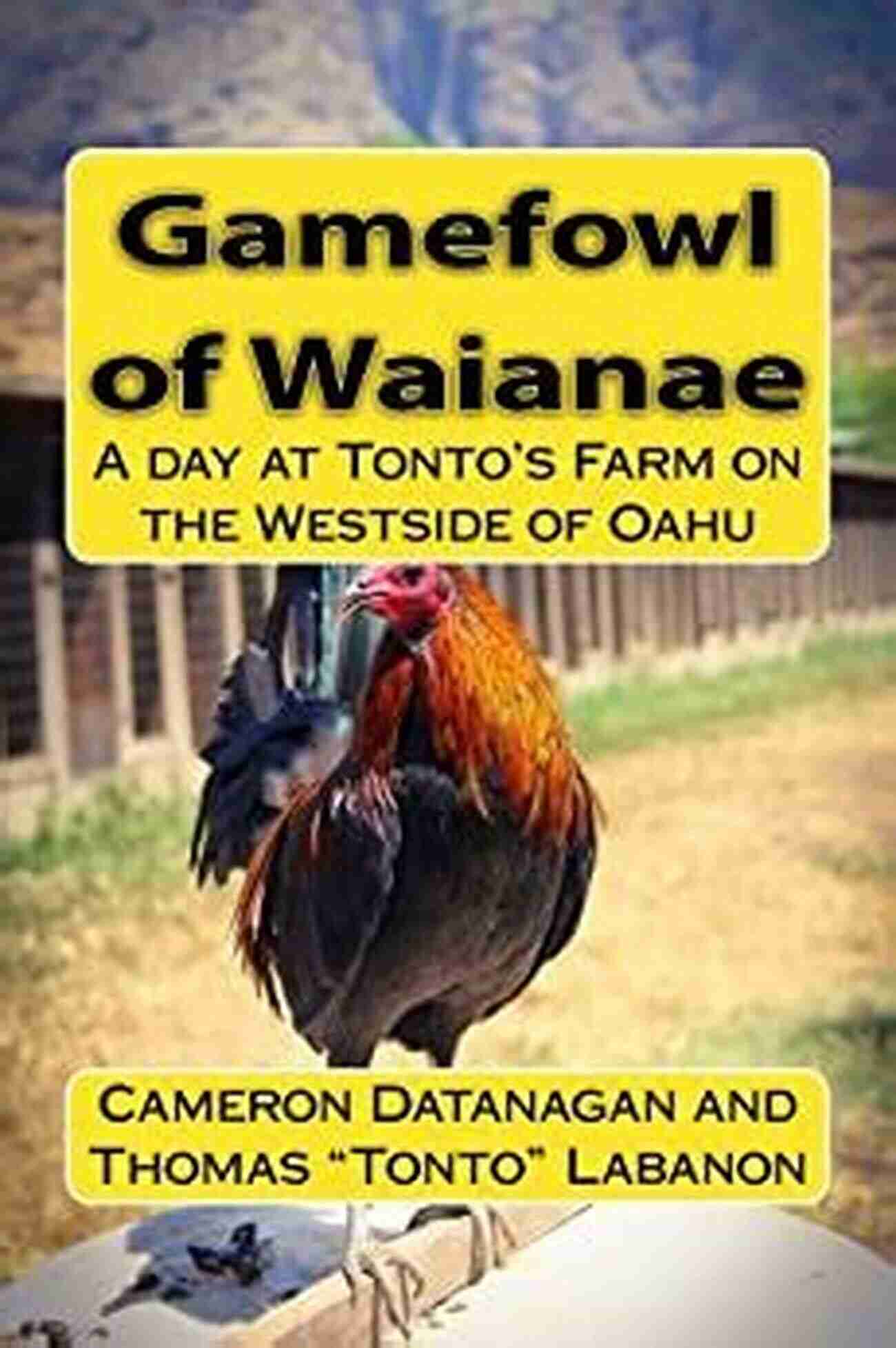 Chickens Of Hawaii At Tonto Farm Gamefowl Of Waianae: A Day At Tonto S Farm On The Westside Of Oahu (Chickens Of Hawaii)