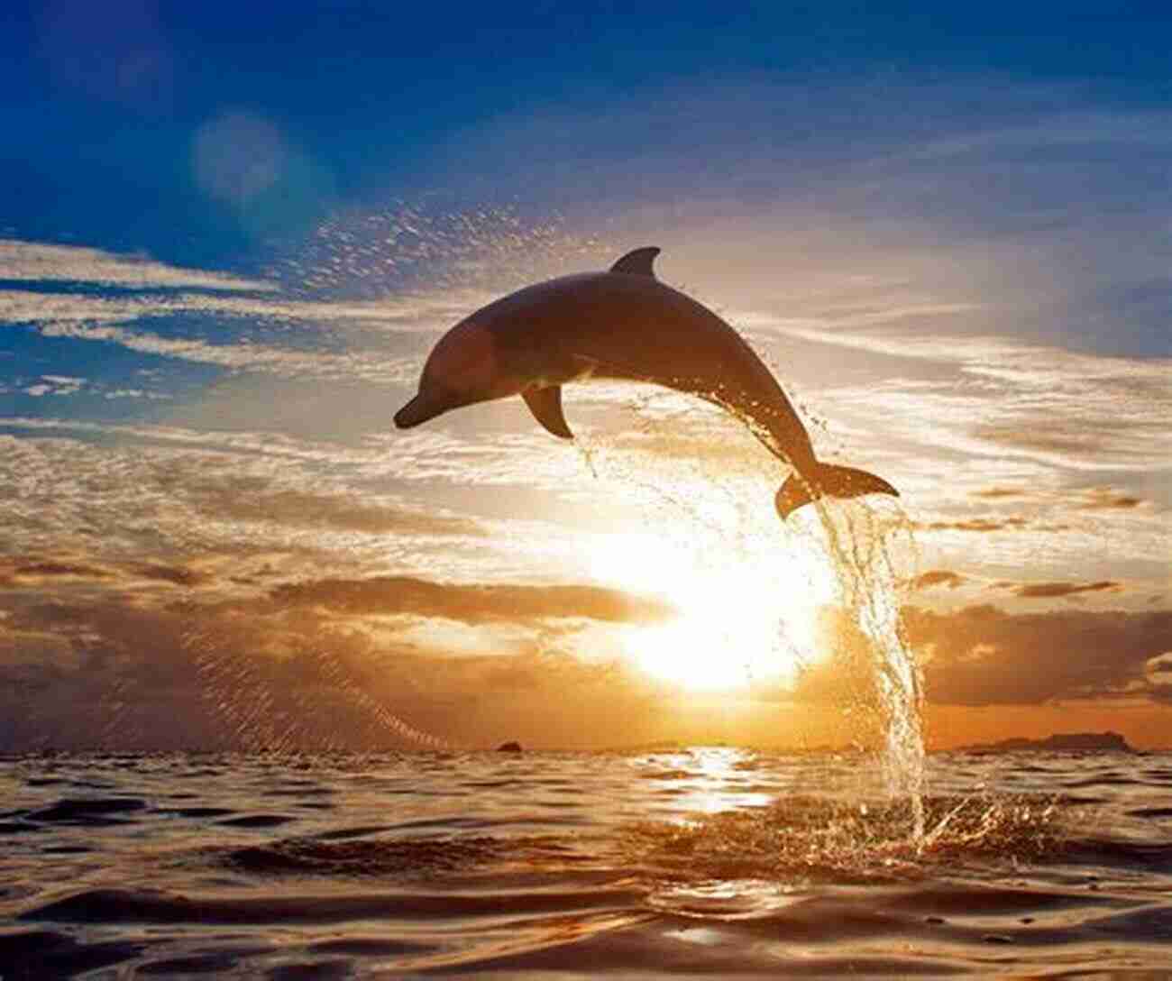 Close Up Of A Dolphin Jumping Out Of The Water With A Blue Sky In The Background The Lab Rat Chronicles: A Neuroscientist Reveals Life Lessons From The Planet S Most Successful Mammals