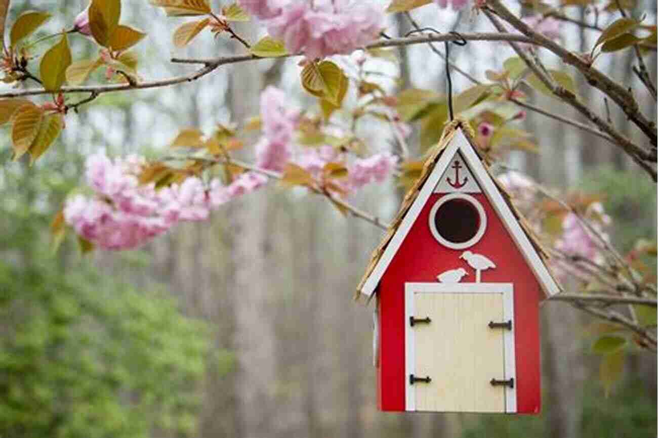 Create The Perfect Home For Your Feathered Friends The Complete Birdhouse Book: The Easy Guide To Attracting Nesting Birds