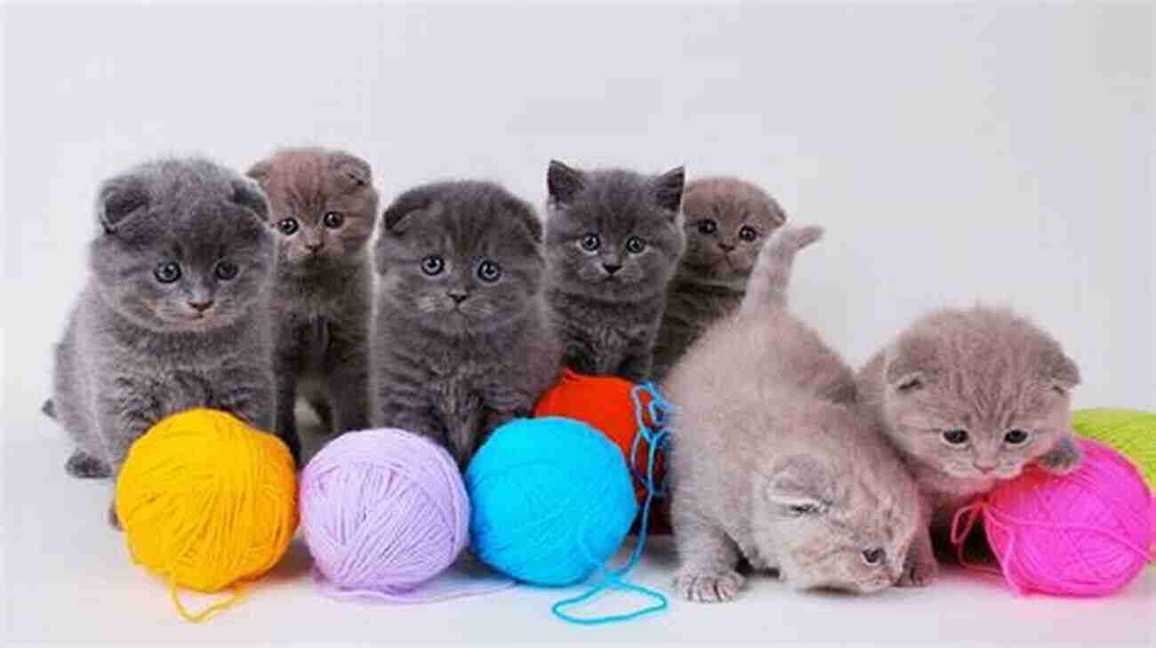 Cute Baby Kittens Playing With A Ball Of Yarn Baby Animals Coloring Mother S Day Special: Best Gift For Happy Mother S Day For Your Kids