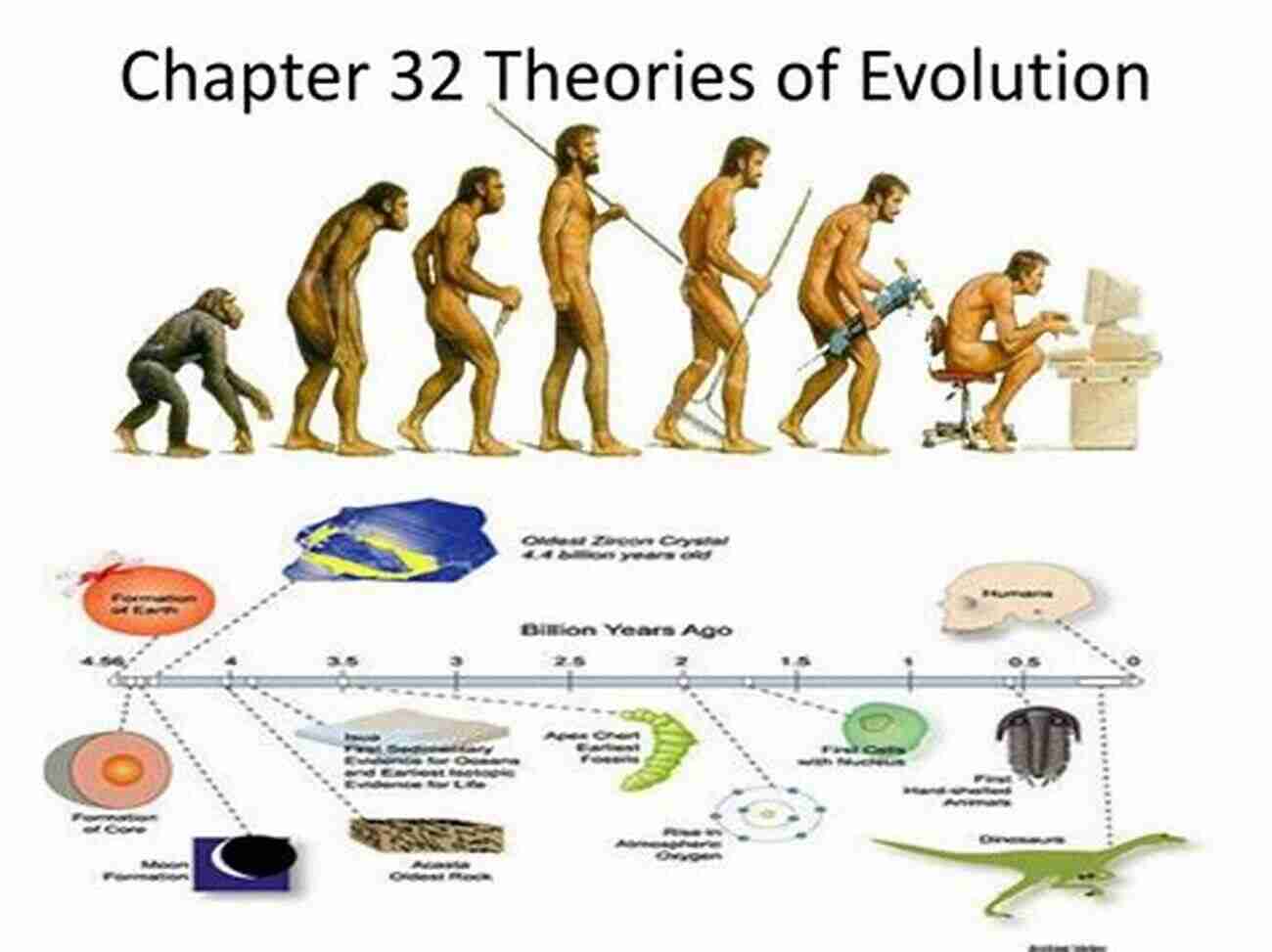 Diagram Representing The Intricate Structure Of Evolutionary Theory The Structure And Confirmation Of Evolutionary Theory (Princeton Paperbacks)