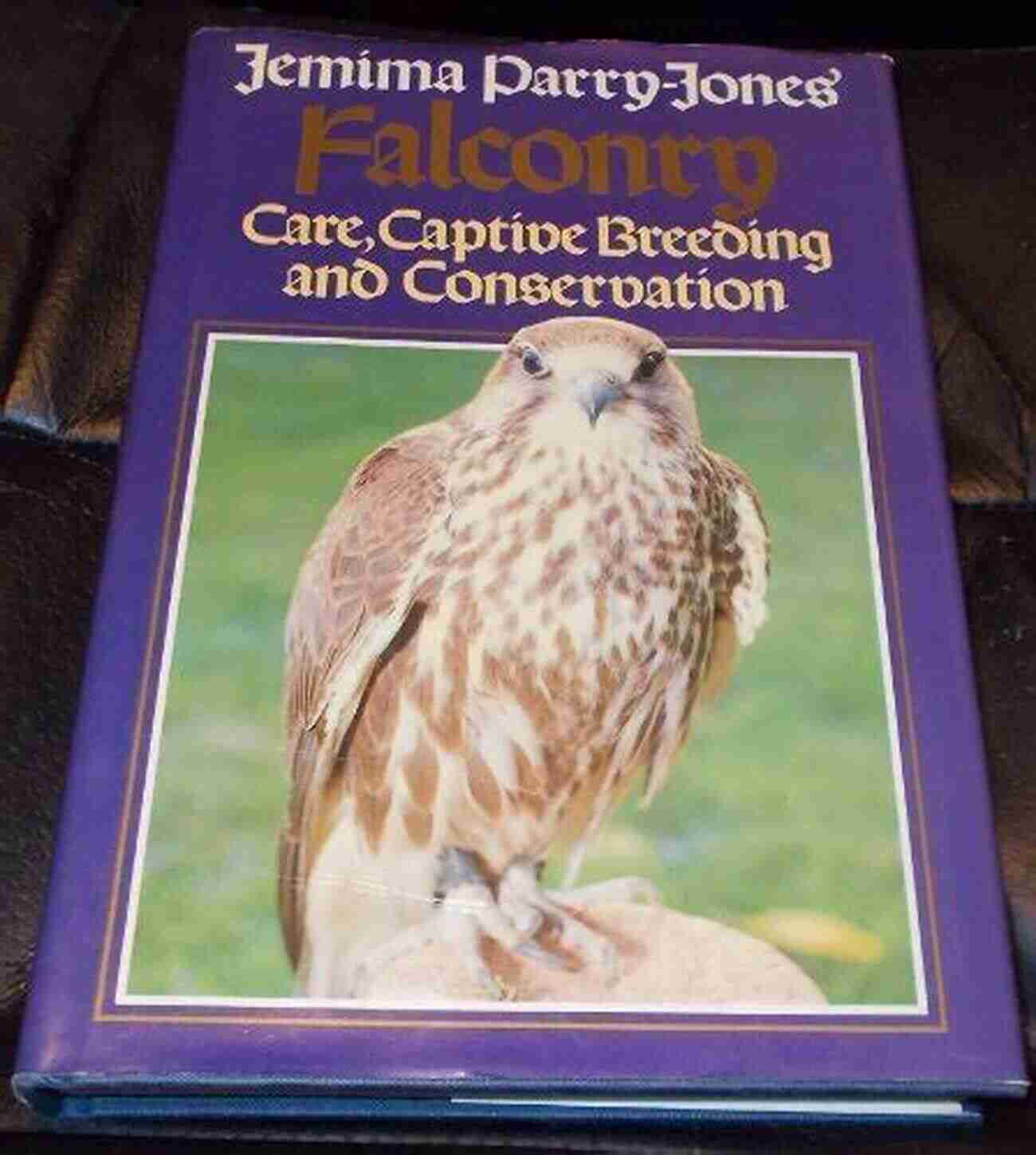 Discover The Mesmerizing World Of Falconry With Jemima Parry Jones Falconry Jemima Parry Jones