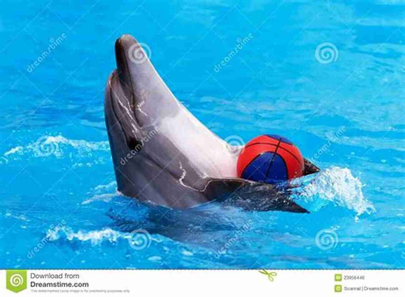 Dolphins Playing With A Ball, Demonstrating Their Love For Playfulness The Lab Rat Chronicles: A Neuroscientist Reveals Life Lessons From The Planet S Most Successful Mammals