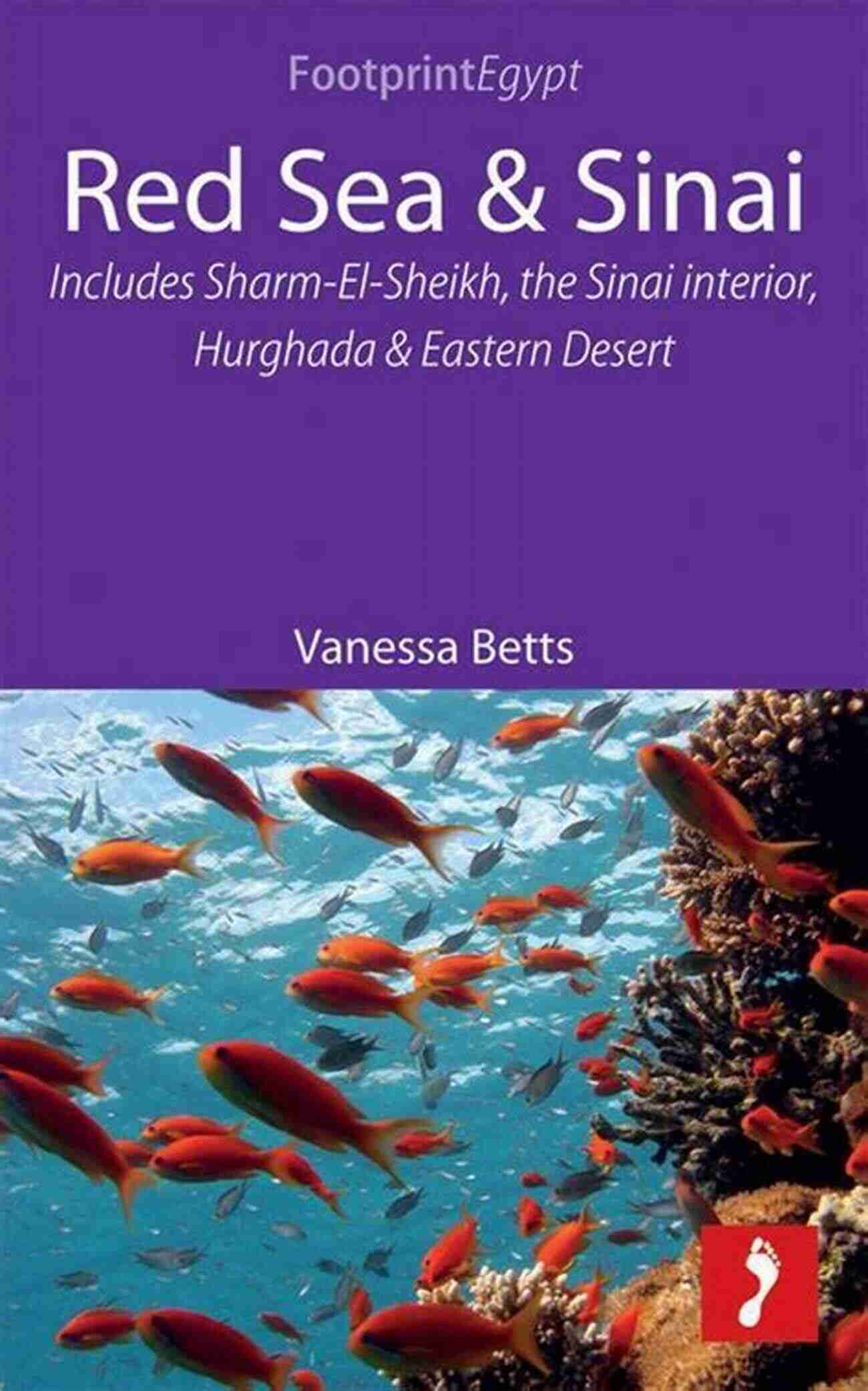 Eastern Desert Landscape Red Sea Sinai: Includes Sharm El Sheikh The Sinai Interior Hurghada And Eastern Desert (Footprint Focus)