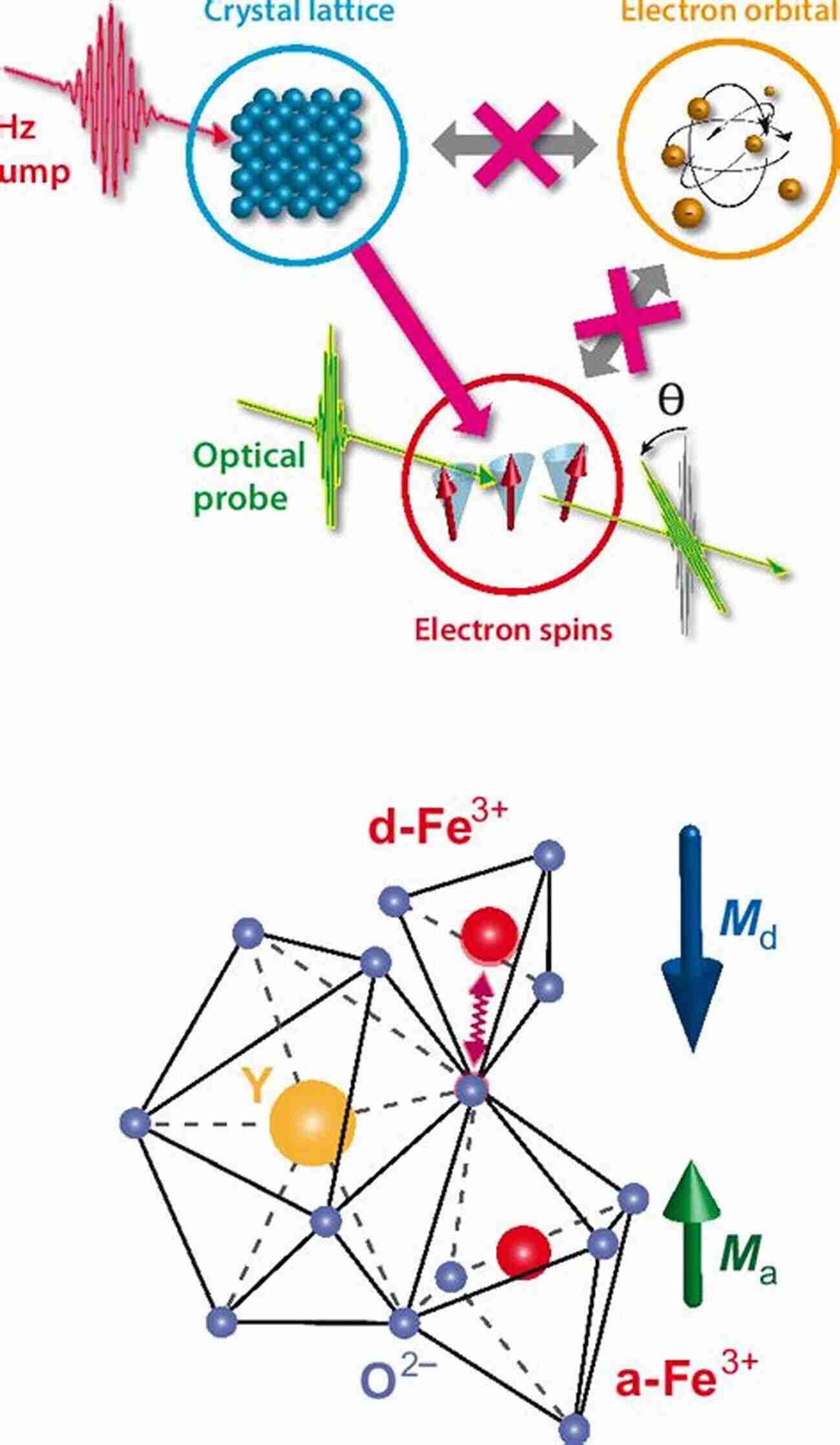 Exploring The Ultrafast Dynamics Of Optical Phonons Quantum Phononics: To Ultrafast Dynamics Of Optical Phonons (Springer Tracts In Modern Physics 282)