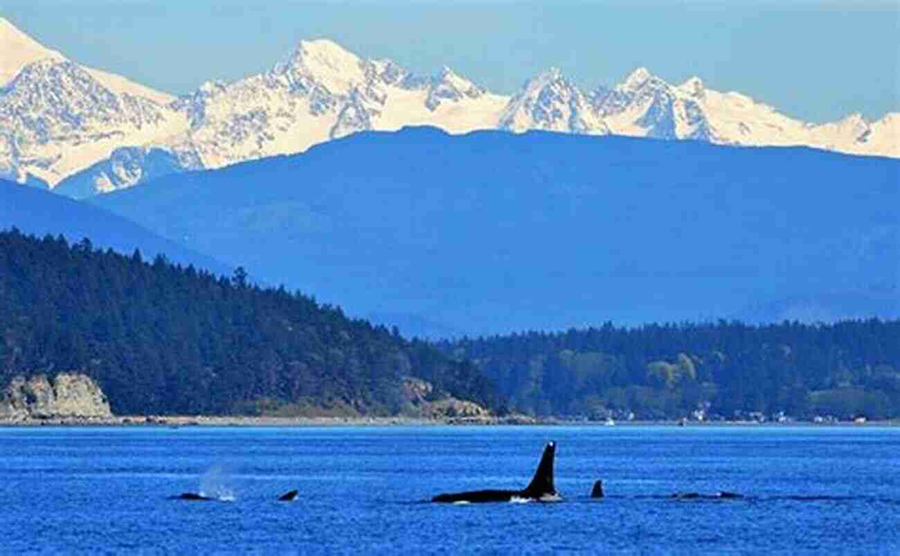 Exploring The Beautiful Waters Of North Puget Sound Afoot Afloat North Puget Sound