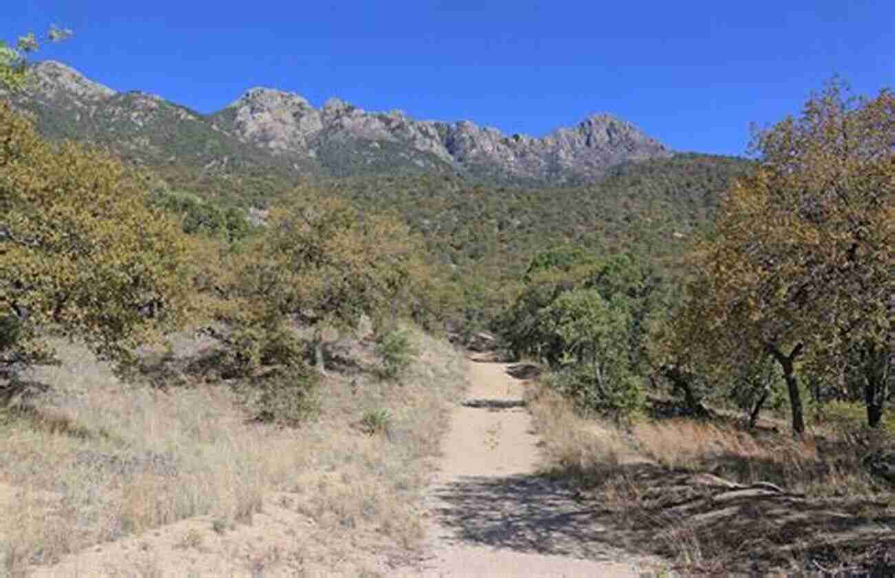 Exploring The Beauty Of Madera Canyon With Saeid Eslamian ADVENTURE IN MADERA CANYON Saeid Eslamian