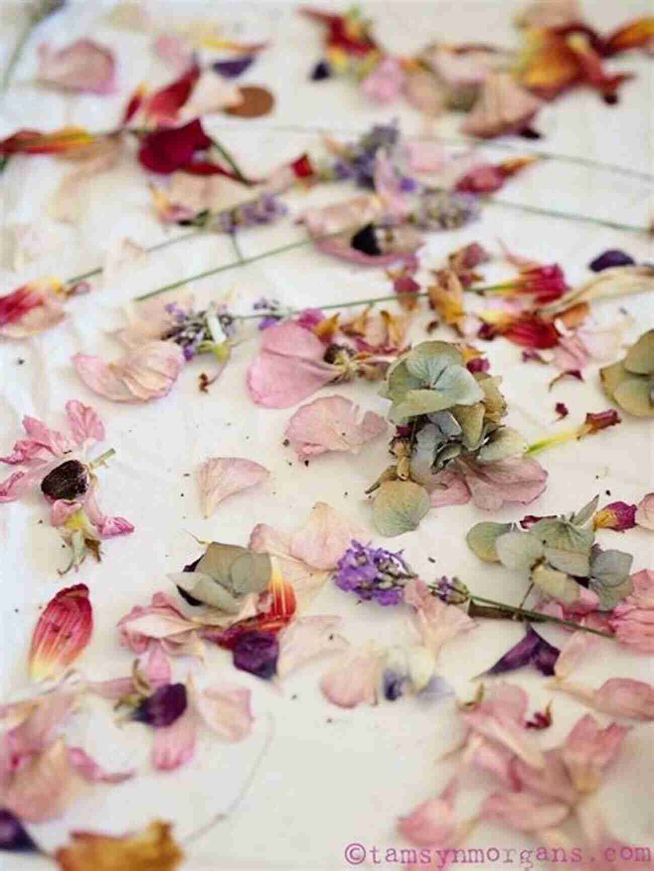 Fabric Dyed With Flower Petal Dyes Natural Dying Craft Ideas: Homemade Projects With Natural Dyes: Natural Dye Projects