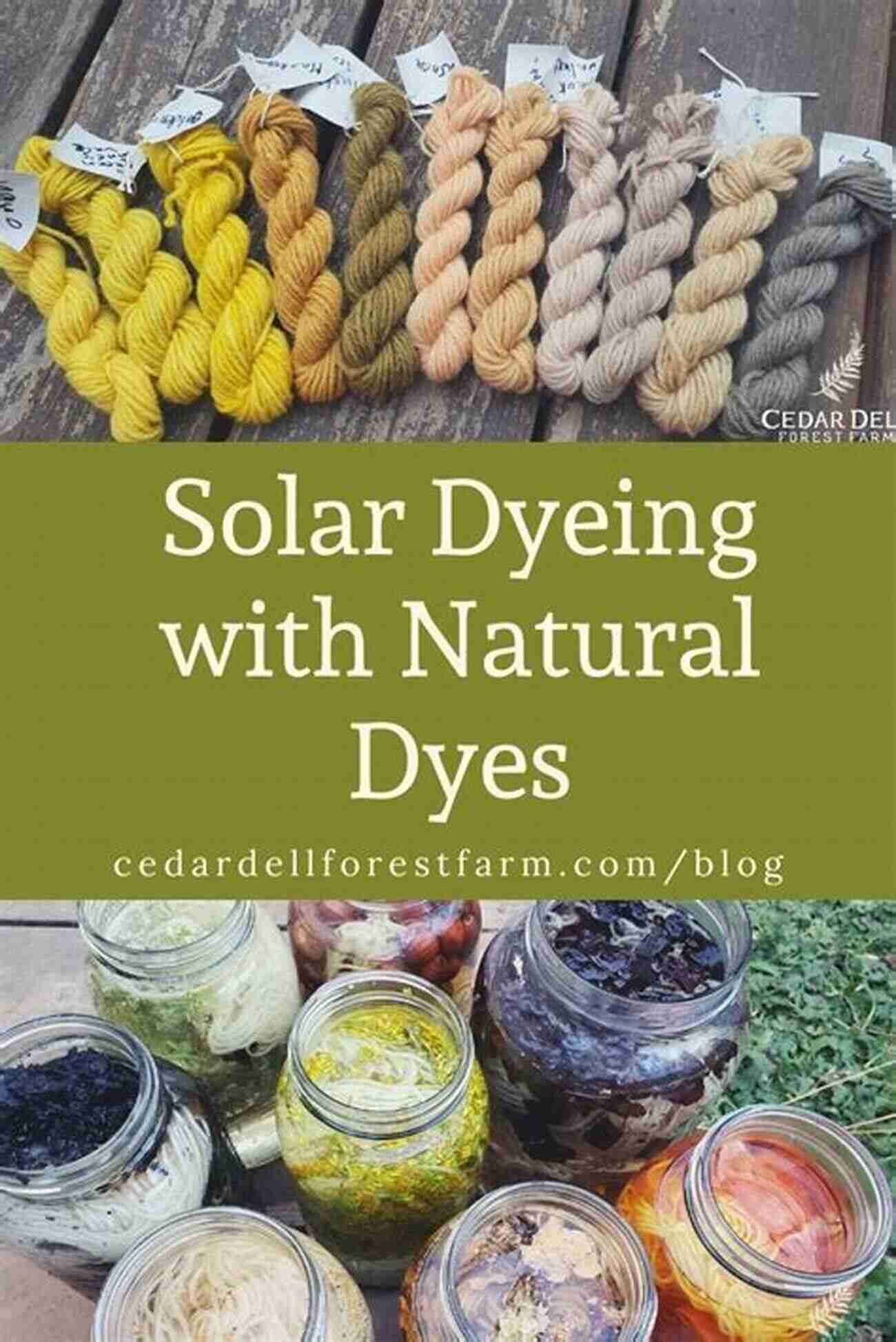 Fabric Dyed With Solar Dyeing Technique Natural Dying Craft Ideas: Homemade Projects With Natural Dyes: Natural Dye Projects