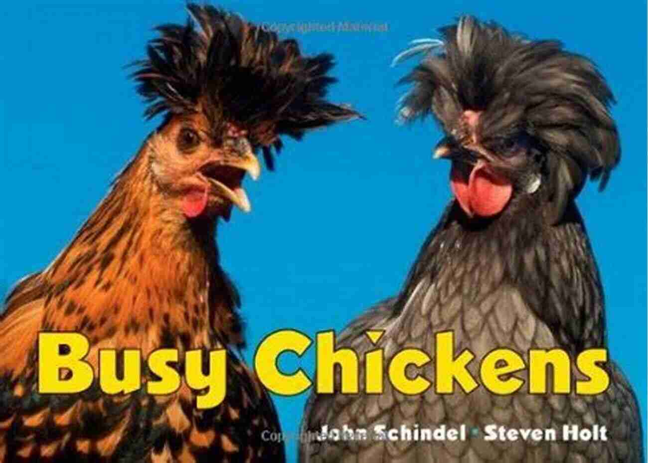 Family Fun With Busy Chickens Busy Book Busy Chickens (A Busy Book)