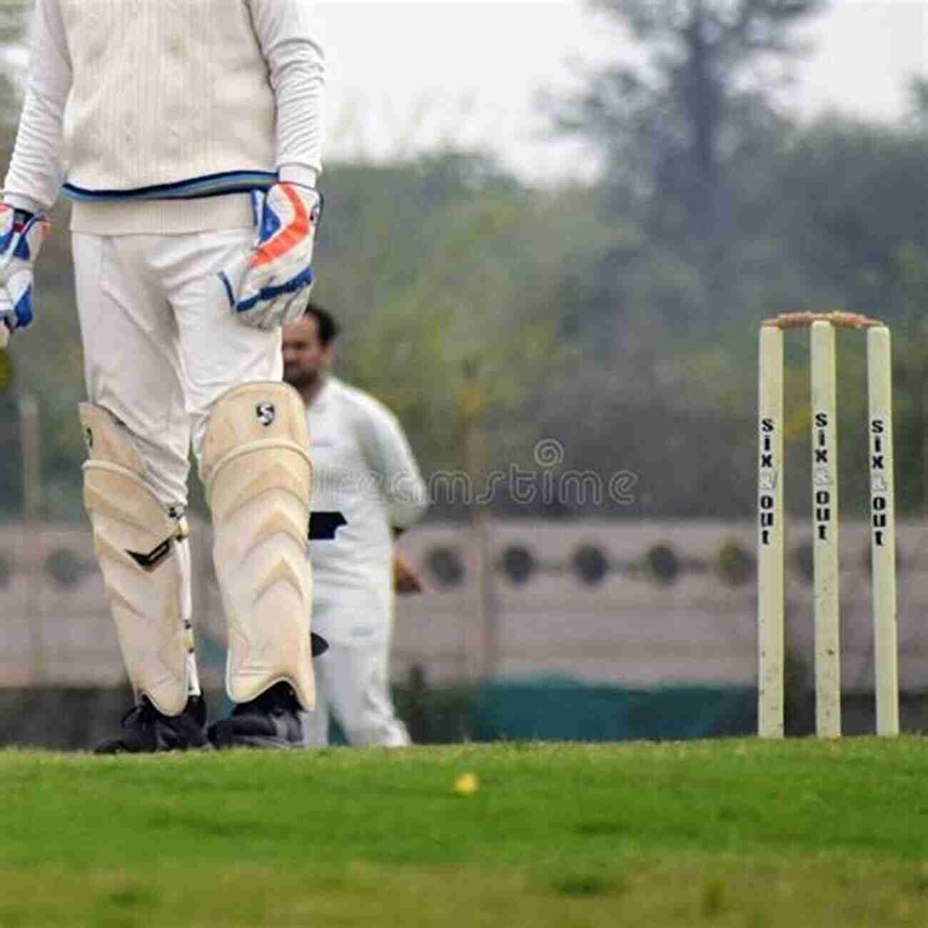 Gentlemen Players Playing Cricket In A Sunny Field Gentlemen Players: The Death Of Amateurism In Cricket