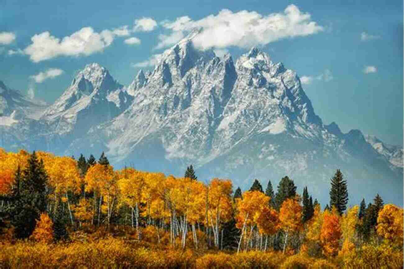 Grand Teton National Park During Fall Foliage Grand Teton National Park Travel Guide With 100 Landscape Photos