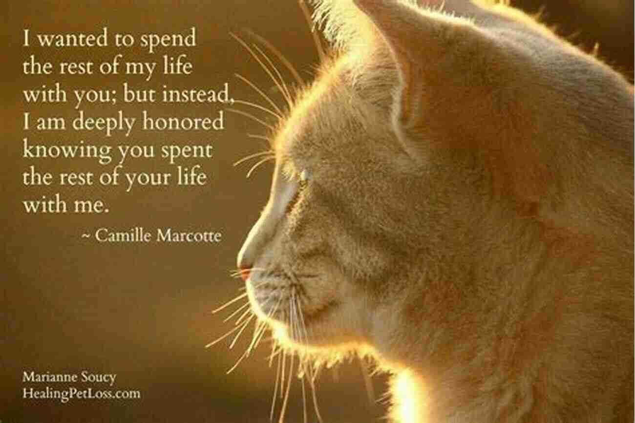 Grieving The Loss Of Your Pet A Heartwrenching Journey Of Healing Do All Dogs Go To Heaven?: Grieving The Loss Of Your Pet