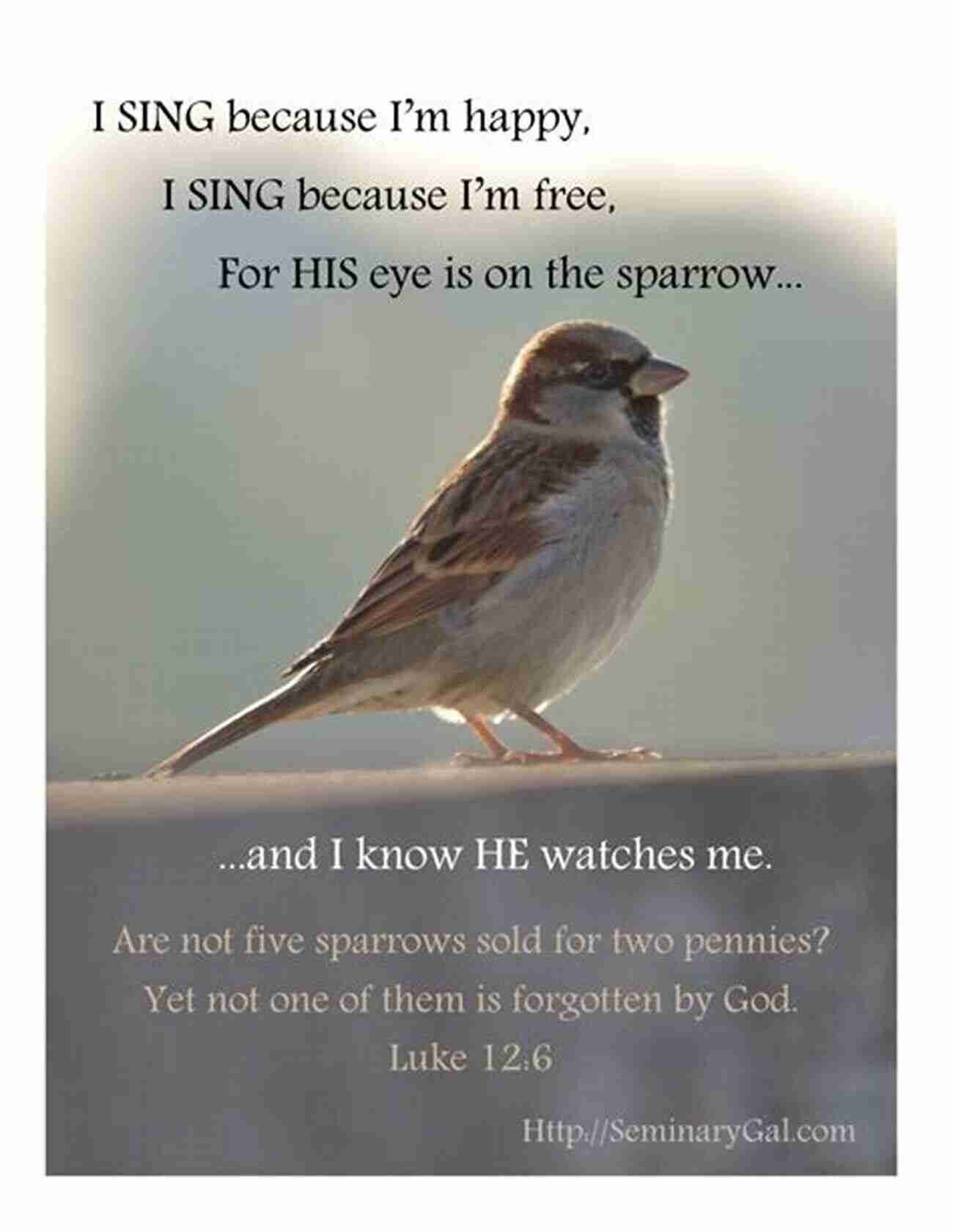 His Eye Is On The Sparrow World S Greatest Gospel Songs: Intermediate Piano