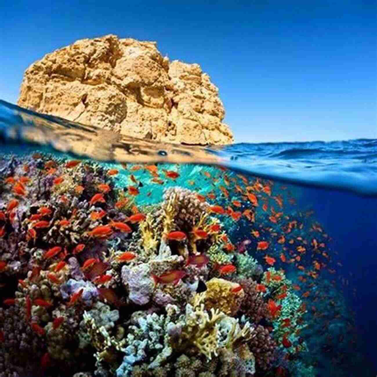 Hurghada Coral Reef Red Sea Sinai: Includes Sharm El Sheikh The Sinai Interior Hurghada And Eastern Desert (Footprint Focus)