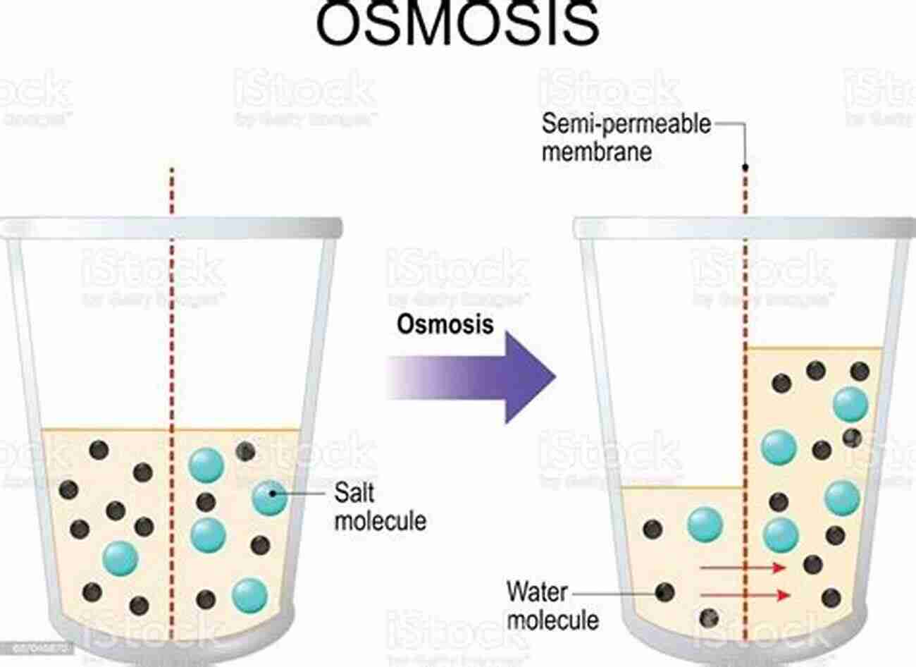 Illustration Of Water Molecules Flowing Through A River Water: A Very Short (Very Short s 440)