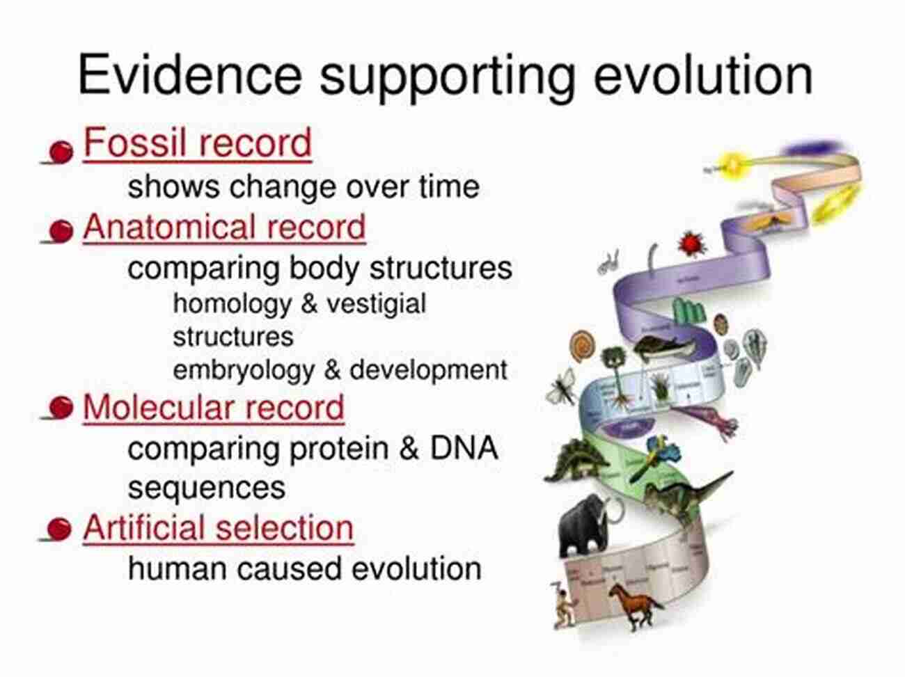 Illustration Showcasing The Diverse Evidence Supporting The Theory Of Evolution The Structure And Confirmation Of Evolutionary Theory (Princeton Paperbacks)