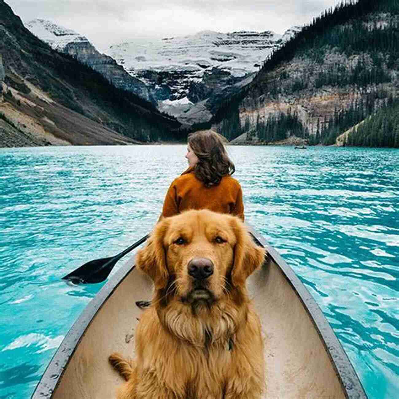 Jack And His Dog Find Their 500 An Epic Adventure In The Wilderness Jack And His Dog Find Their $2 500 : Fictional Journey: Life Changing Adventure