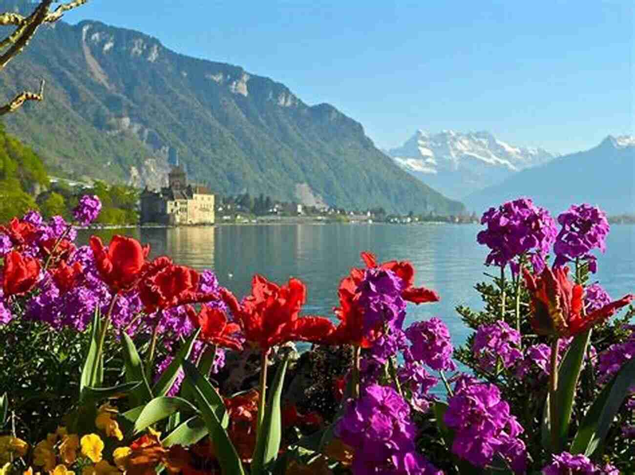 Lake Geneva Doing The Things In Switzerland