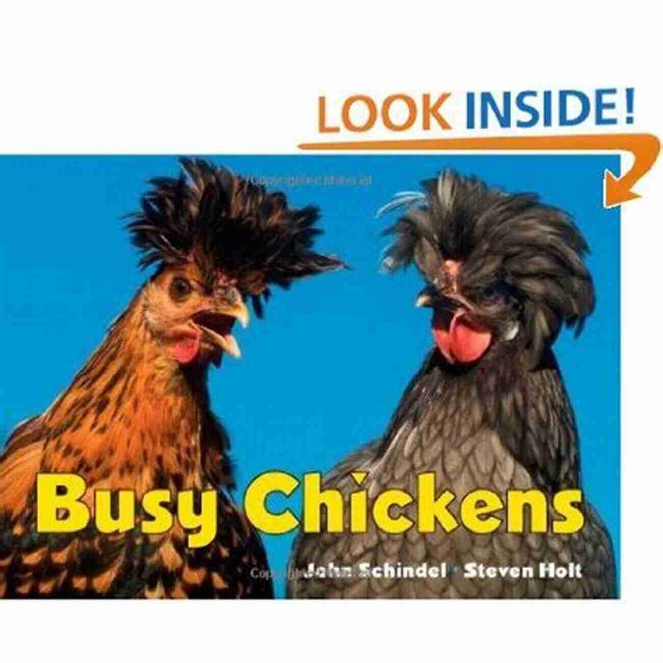 Learning With Busy Chickens Busy Book Busy Chickens (A Busy Book)